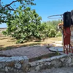 Jelena Перой