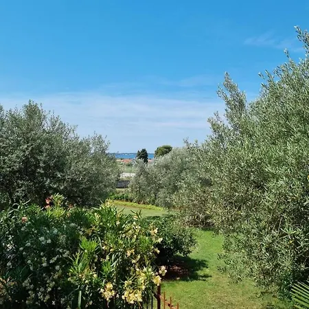 Guest house Jelena