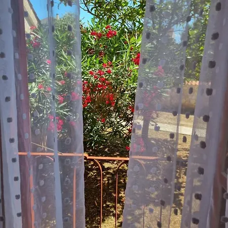 Jelena Guest house
