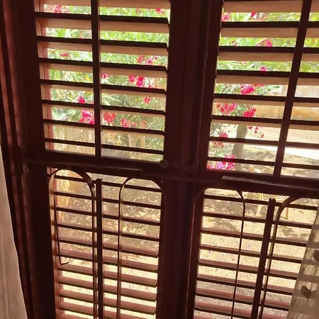Guest house Jelena 3*
